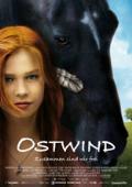 Filmposter