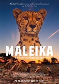 Filmposter